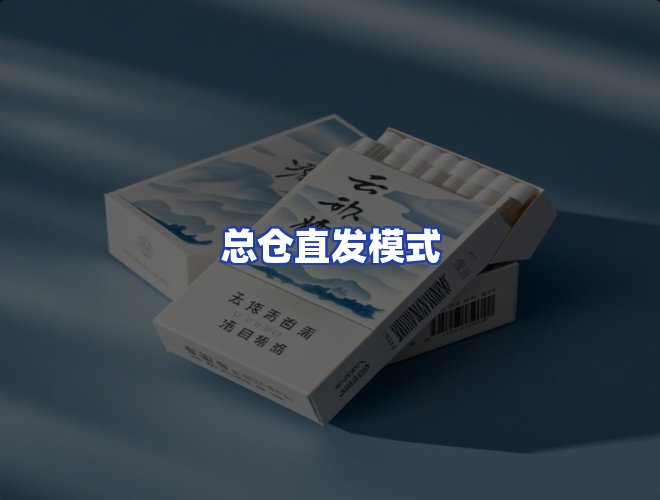 专业团队
